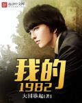 我的1982高阳