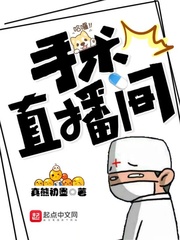 手术直播间小说