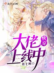 快穿大佬上线中全文免费