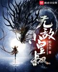无敌皇子电视剧