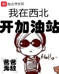 我在西北开加油站百科
