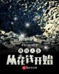 财务自由之路免费阅读
