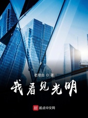我不曾看见光明