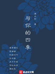与你的四季 小说