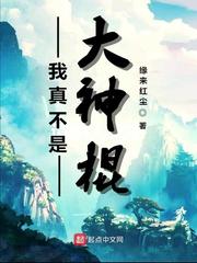我真的不是神棍下载