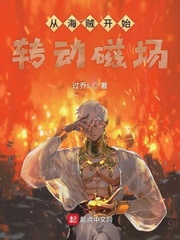 从海贼开始转动磁场TXT下载奇书网