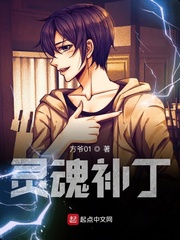 灵魂补丁评价