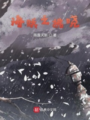海贼之大佛果实小说