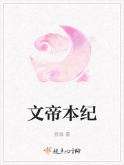 文帝本纪小说杨崇