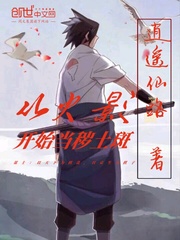 从火影开始了