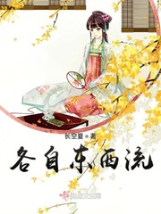 君情与妾意各自东西流