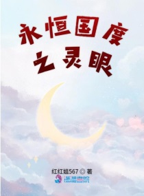 永恒国度精灵的小说