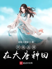 开局选择在大唐种田 宇文成都