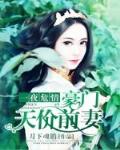 一夜危情:豪门天价前妻免费阅读