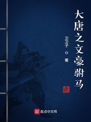 大唐无敌驸马
