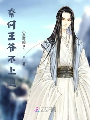 奈何王爷不上道小说免费阅读无弹窗