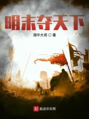 明末夺天下txt下载平板电子书
