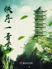 秩序官 小说