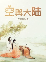 大陆空悬 如何