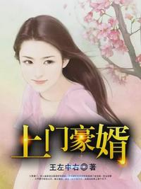 上门豪婿凌天辰正版