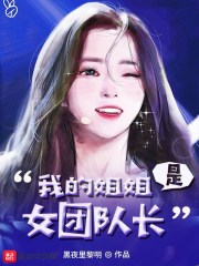 我的姐姐是女团队长奇书网