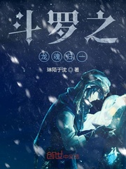 斗罗二龙魂环搭配