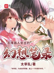 天降路人女主的幻想笔录百度云