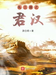 乱世之君三国