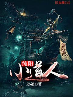 纯阳小道人 小说