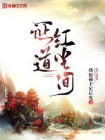 小说里的证道是什么