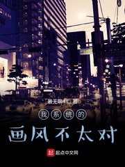 我的画风不太对 小说
