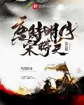 唐时明月宋时关 完本