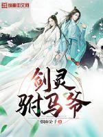 剑灵驸马爷中的境界