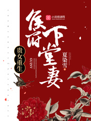 沈清辞洛衡虑小说最新