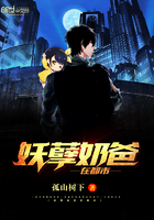 仙帝 叶辰