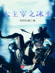 大主宰之冰圣小说免费阅读全文