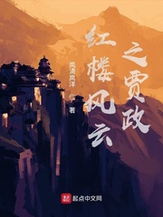 红楼之贾政有个系统