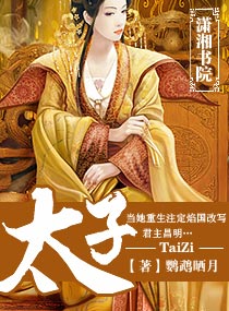 太子小说免费阅读笔趣阁风弄