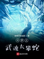 斗罗之武魂太阳