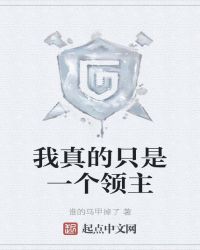 我真的只是一个领主txt下载