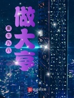 重生九八做大亨下载