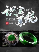 我的识宝系统免费