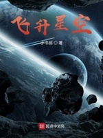 飞升星空小说