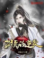 驸马的逆袭txt下载