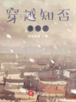 穿越知否混日子起点