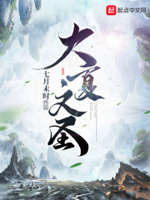 大夏文圣免费阅读小说