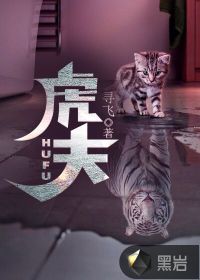 虎夫小说人物关系