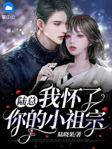 陆珺彦安琪的小说
