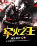 重生之军火之王