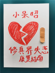 小呆昭新书